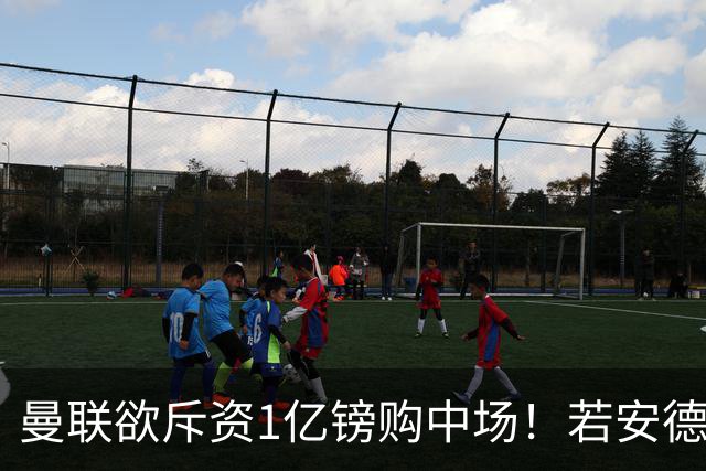 曼联欲斥资1亿镑购中场！若安德森无缘 三将进候选名单