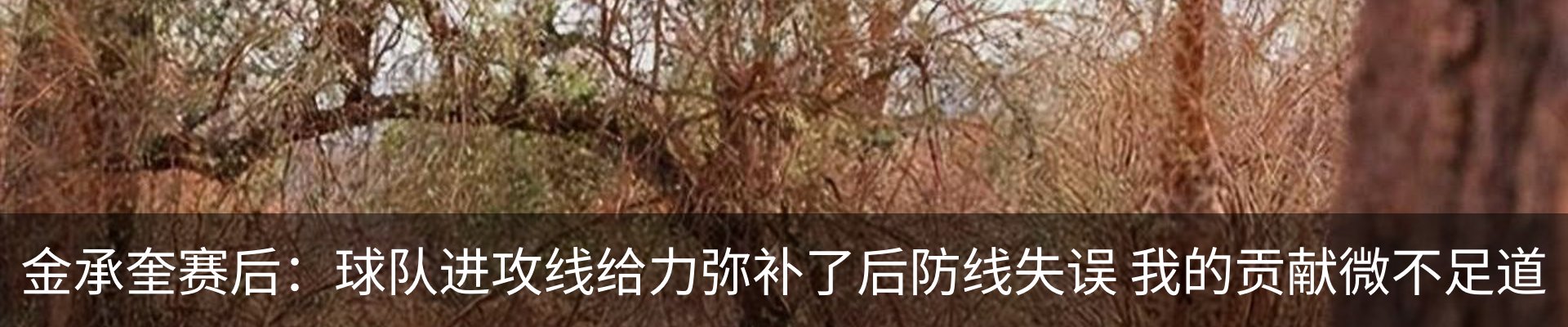 资讯动态
